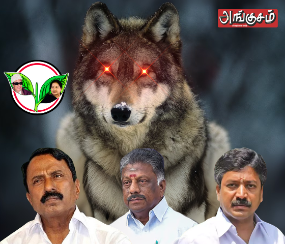அதிமுகவில் அடுத்த பூகம்பம் !