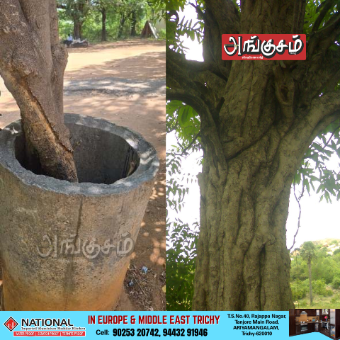 பாதுகாப்பு வளையங்கள்