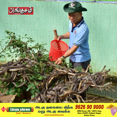 பாம்புகள் தோட்டம்
