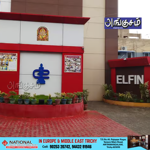 எல்ஃபின் மோசடி