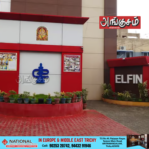 எல்ஃபின் மோசடி