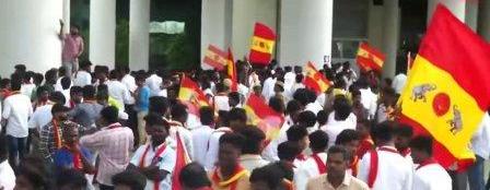 தவெக விஜய்