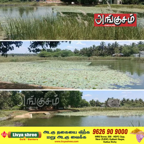 நீர்நிலைகள்