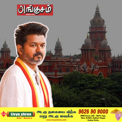 விஜயை விளாசி தள்ளிய நீதிபதிகள்