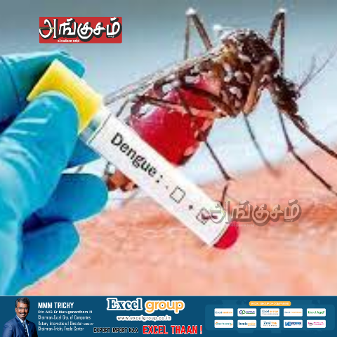 டெங்கு காய்ச்சல்