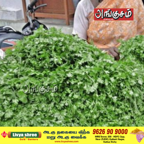 கீரை விற்பனை
