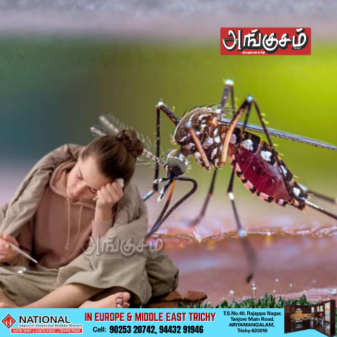 டெங்கு காய்ச்சல்