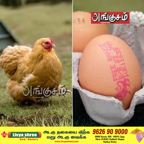 முதலில் வந்தது கோழியா ? முட்டையா ?