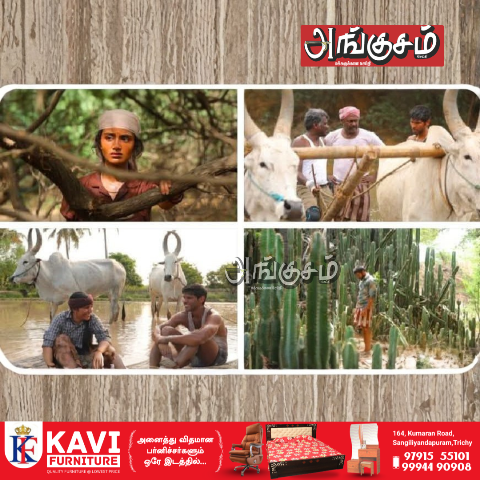 வலதுசாரி திரைப்படங்கள்