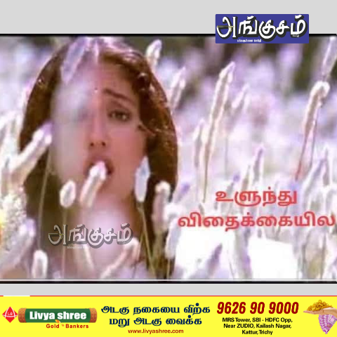 உளுந்து விதைக்கையிலே ...