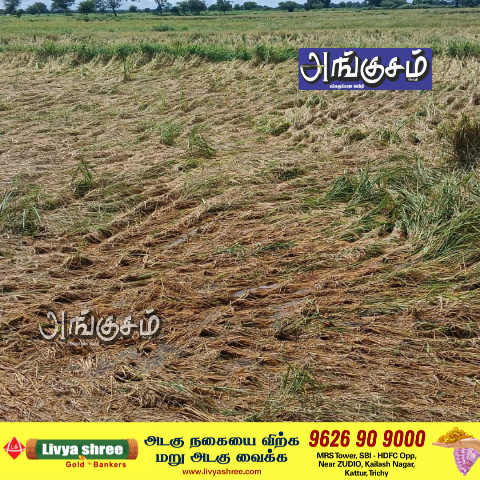 அடைமழை சேதம்