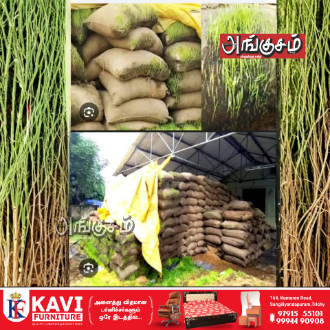 விவசாயம்