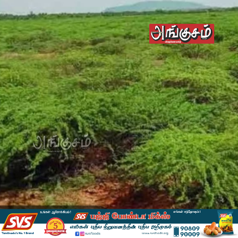 பஞ்சம்பட்டி ஏரி