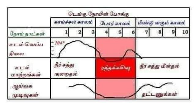 டெங்கு காய்ச்சல் 