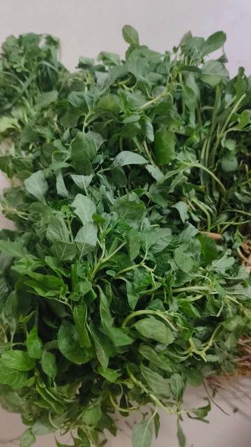 கீரை விற்பனை