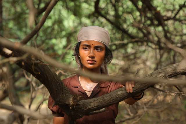 ‘பைசன்’ காளமாடன்’  