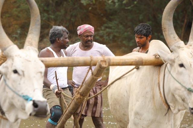 ‘பைசன்’ காளமாடன்’  
