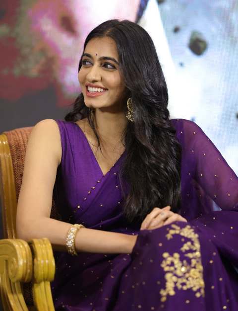 மானசா சௌத்திரி