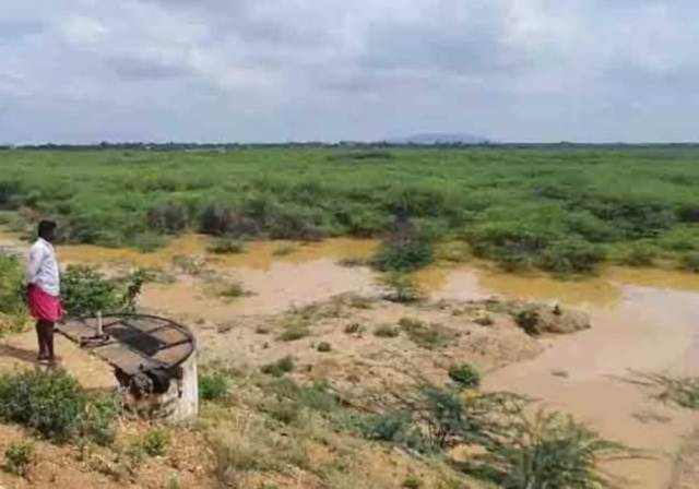 பஞ்சம்பட்டி ஏரி