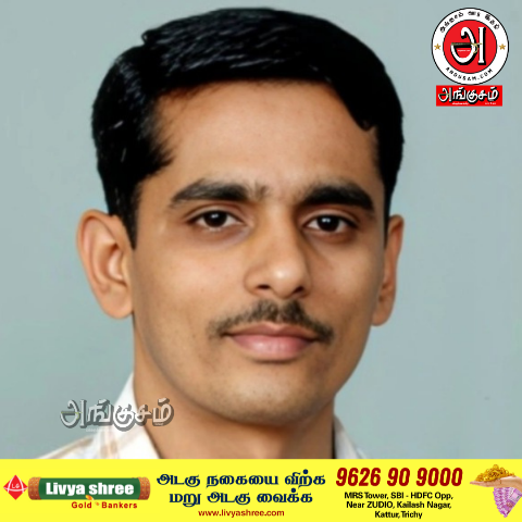 அரசியல் வியூக வகுப்பாளர்