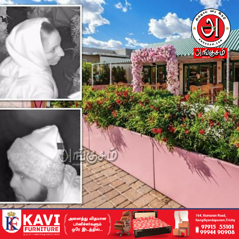 வினோத உலகம்