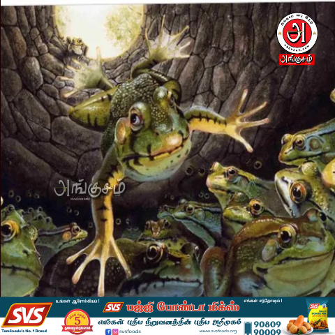 கிணற்று தவளைகள்