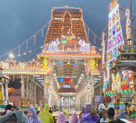 திருவண்ணாமலை தேரோட்டம்