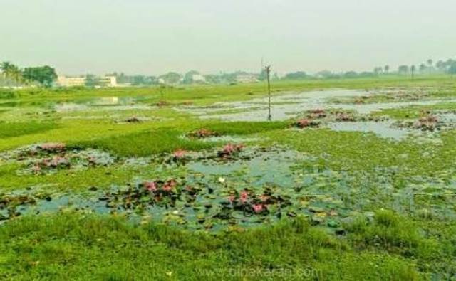 ஏலகிரி ஏரி