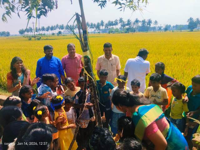 பாரம்பரிய பொங்கல்