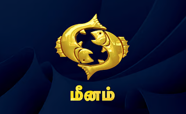 மீன ராசி