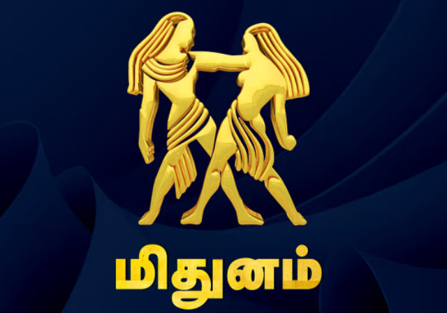 மிதுன ராசி