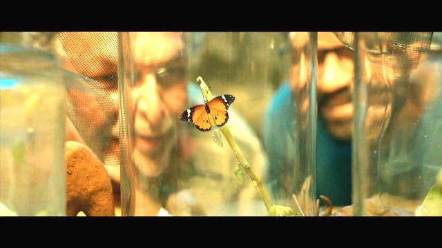 'ஓ பட்டர்ஃப்ளை' 