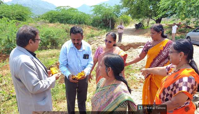 பனை வளர்ப்போம்