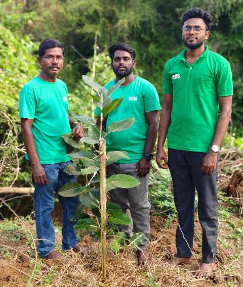 வனம் அமைப்பு